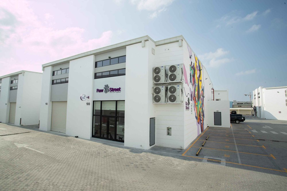 paw-Street-pet care service Dubai