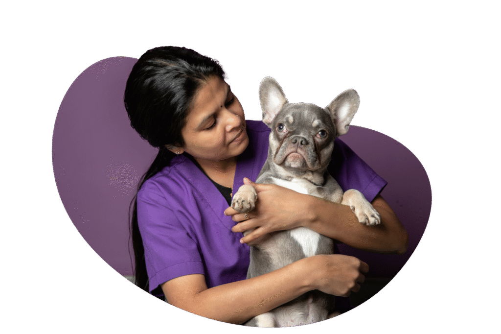 dog Care Services Dubai