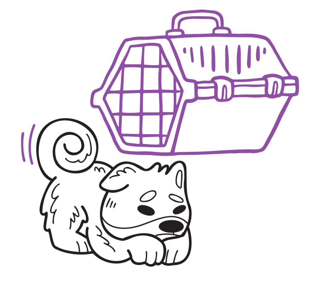 paw-street-pet-boarding