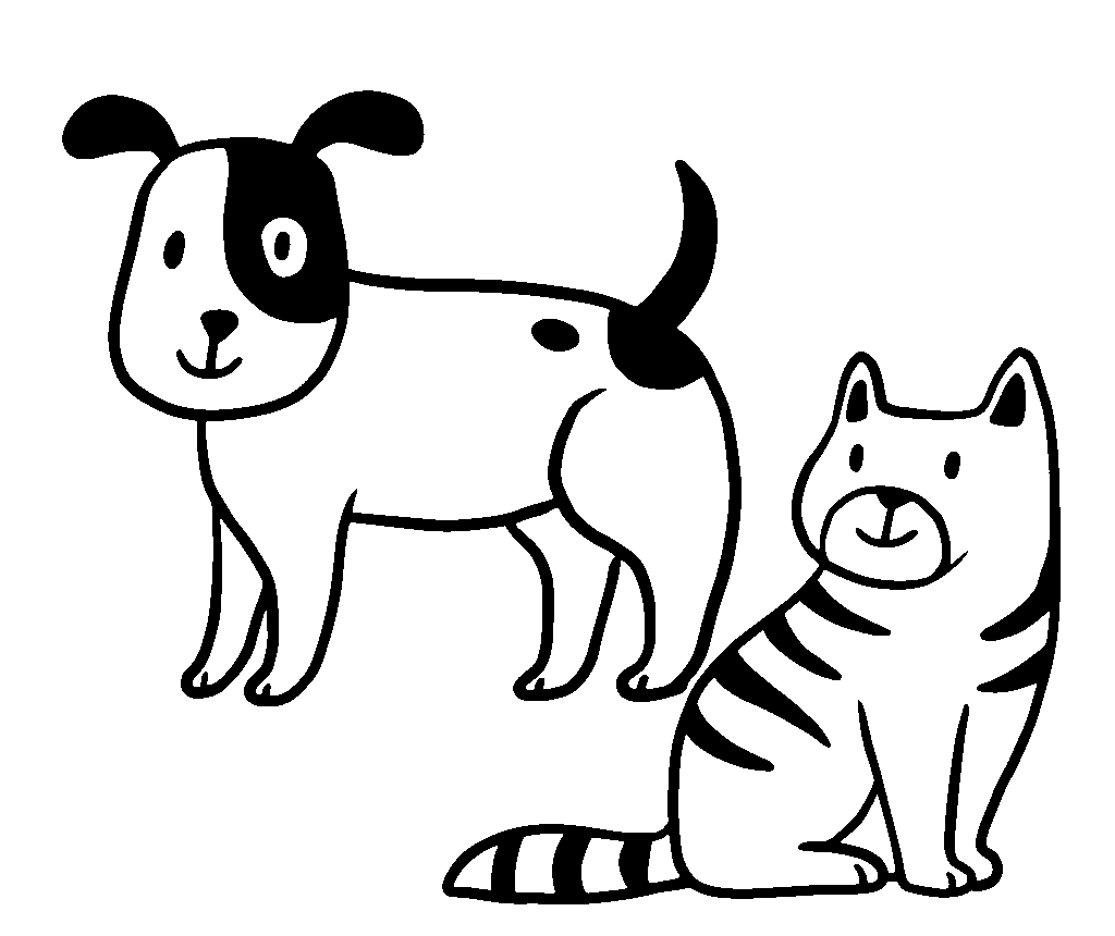 Pet Boarding Dubai-Pawstreet