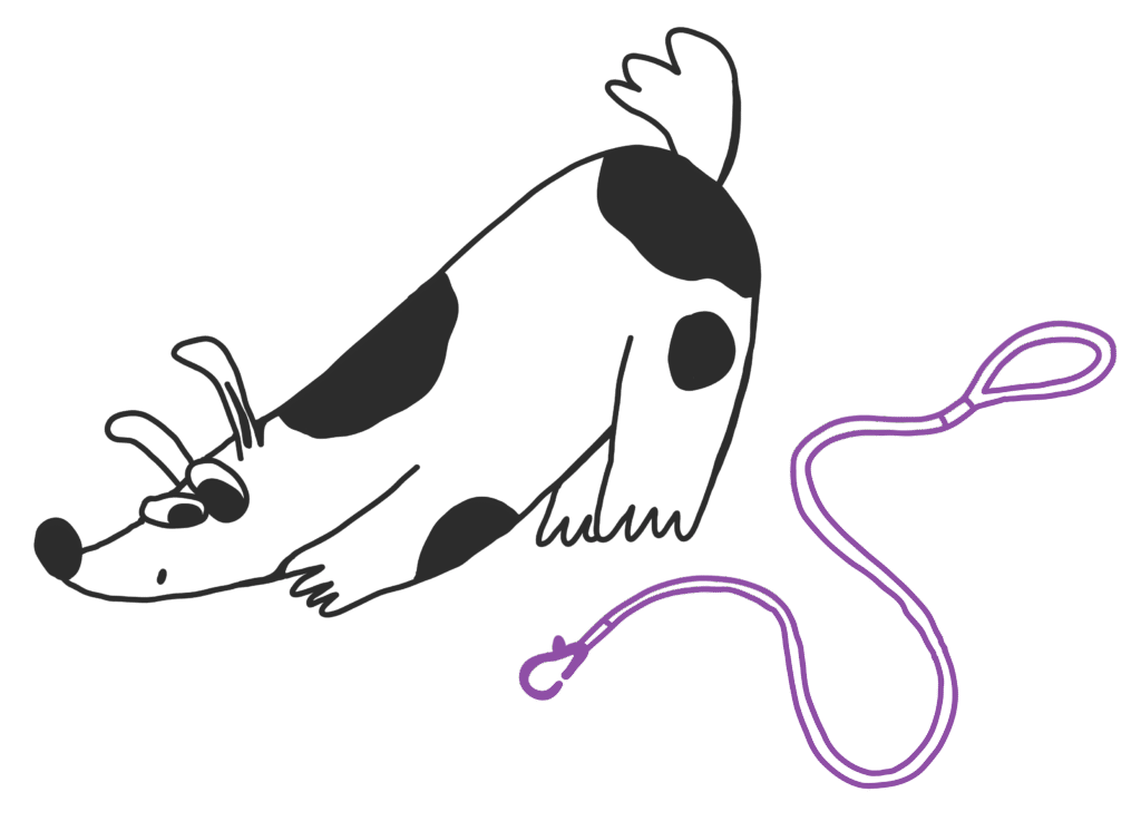 Dog Care Services Dubai -Pawstreet