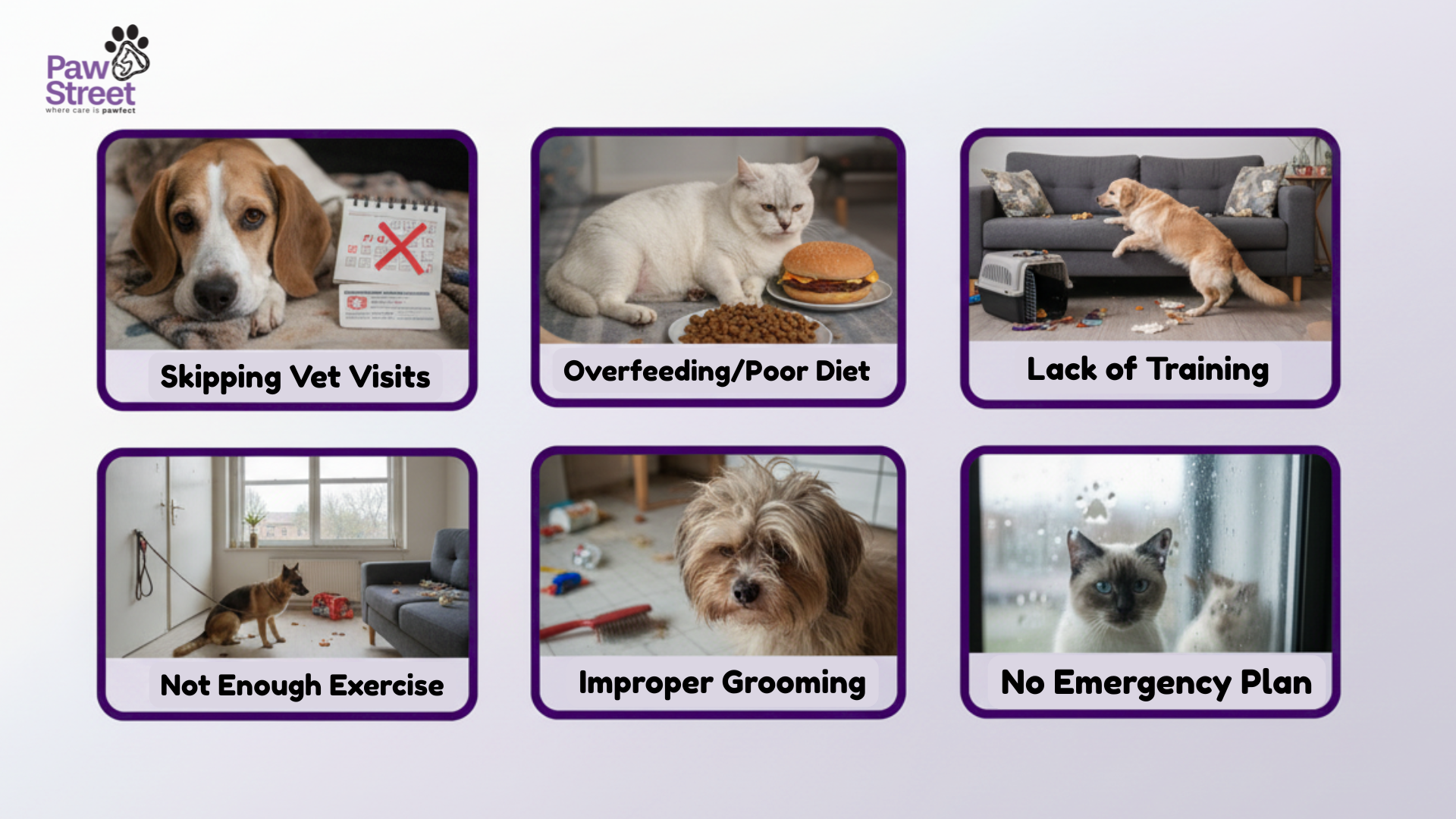 Common Pet Care Mistakes