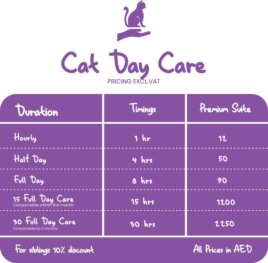 CAT DAYCARE - new price -pawstreet