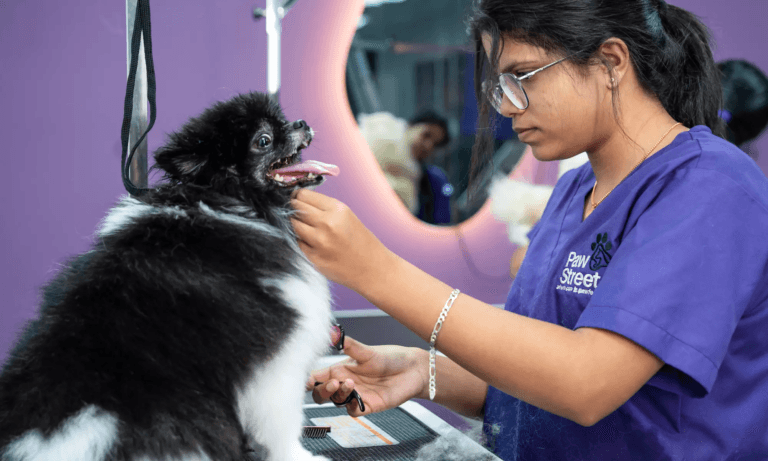 Pet Grooming Dubai