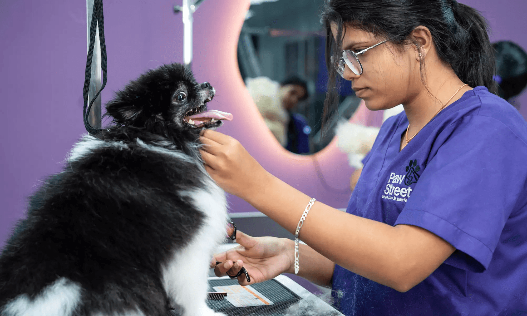 Pet Grooming Dubai